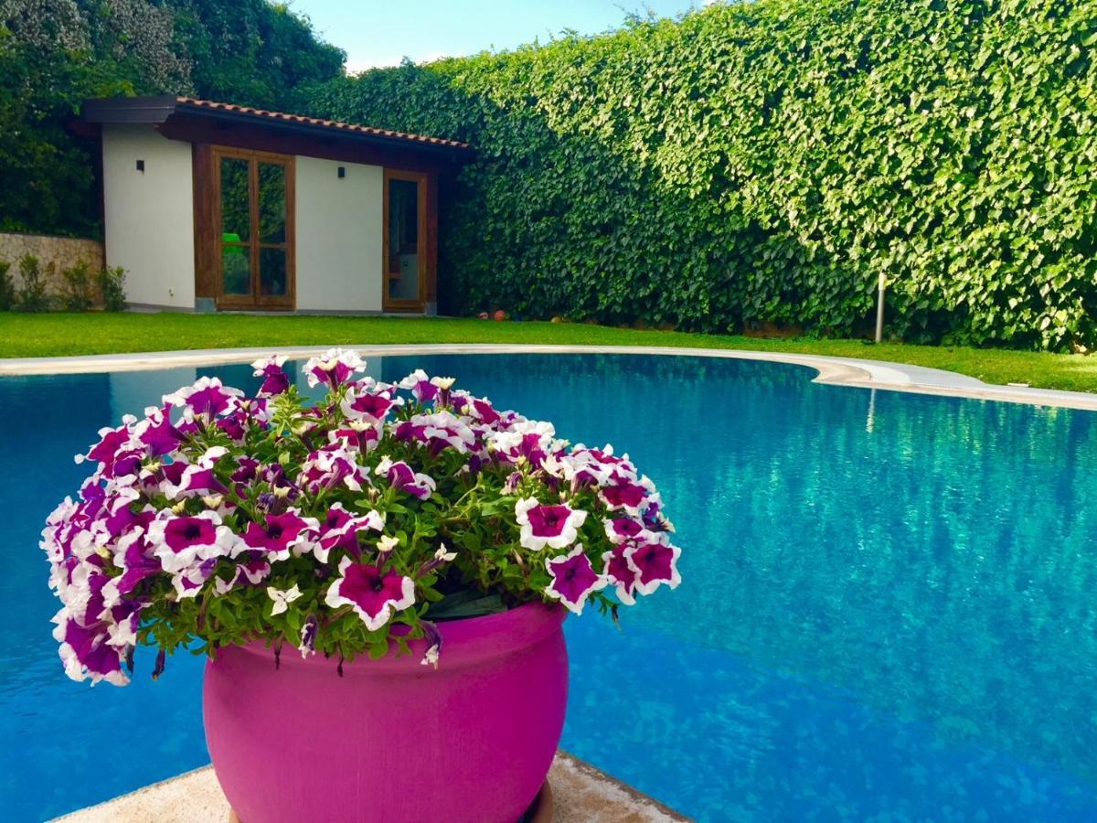 Ara Town House Villa San Giovanni La Punta Exterior foto